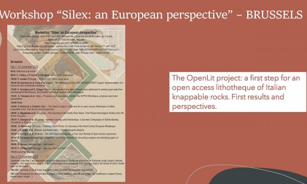 Workshop &ldquo;Silex: an European perspective&rdquo; &ndash; BRUSSELS